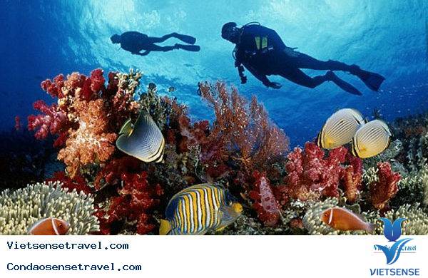 4. Nên tham quan những địa điểm nào ở Côn Đảo? - Ảnh 8 4. Nên tham quan những địa điểm nào ở Côn Đảo? - Ảnh 8